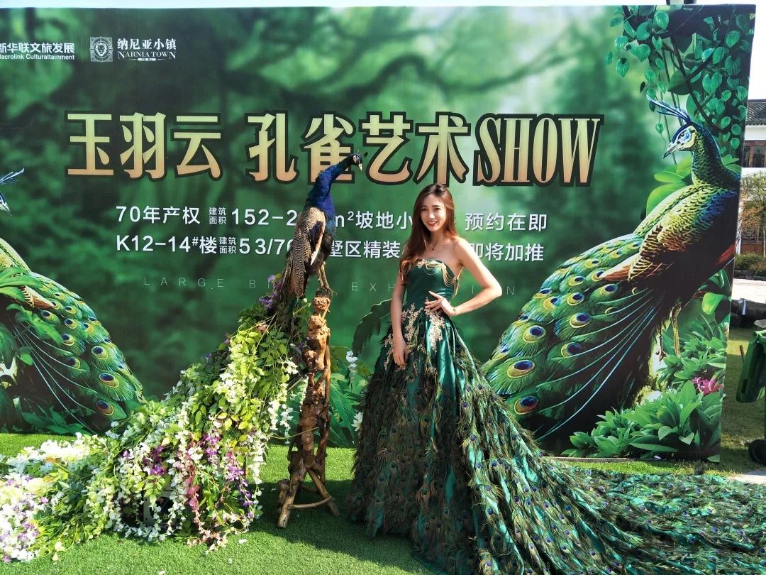 雄鹿新秀表现惊艳，全场观众掌声不断，大家精华客户世界系列.